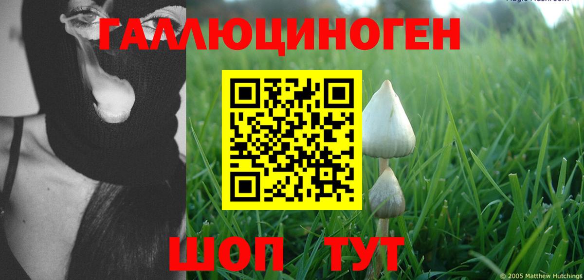 Псилоцибиновые грибы ЛСД  Вход с VPN  Псилоцибиновые грибы мицелий  Чернушка 